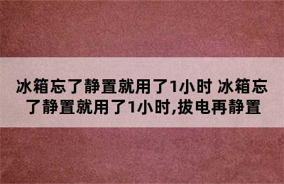 冰箱忘了静置就用了1小时 冰箱忘了静置就用了1小时,拔电再静置